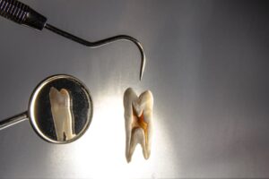 The Molar Approach: Unlocking the Big Picture of Behavior
