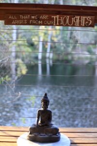 The Nirvana Principle: Mastering the Art of Inner Stillness