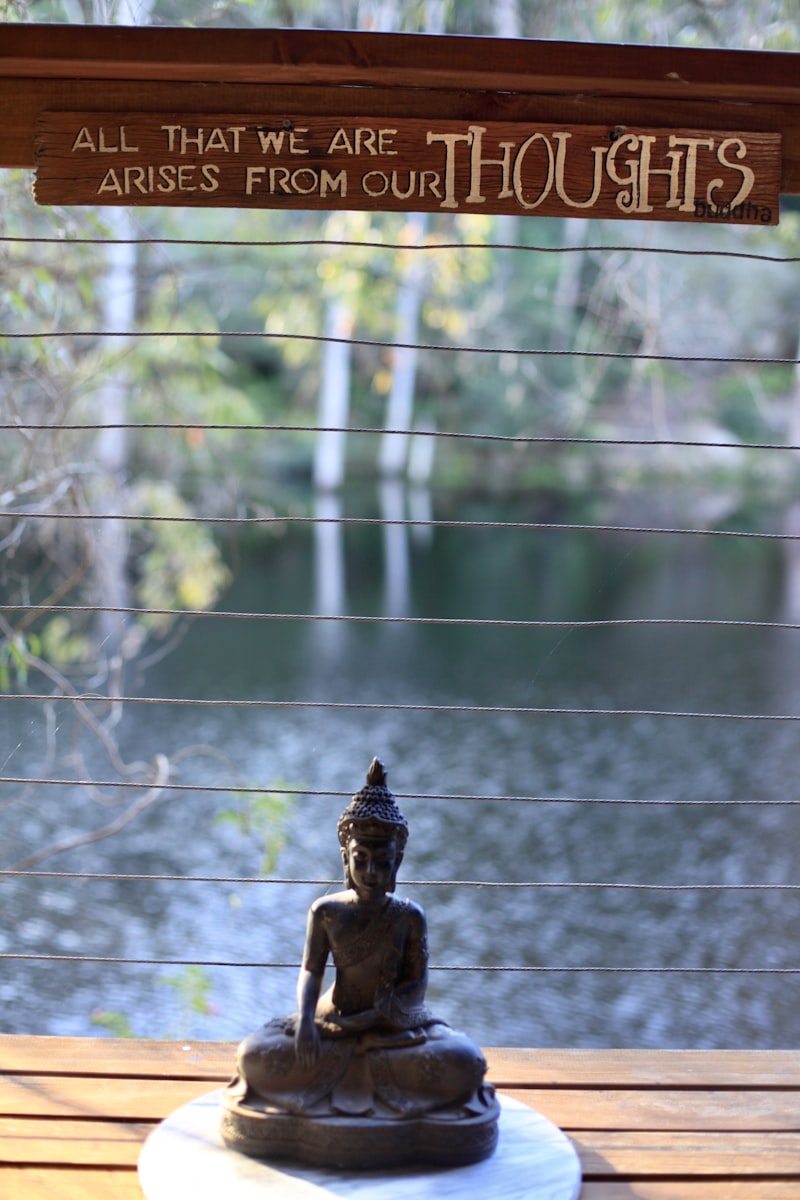 The Nirvana Principle: Mastering the Art of Inner Stillness