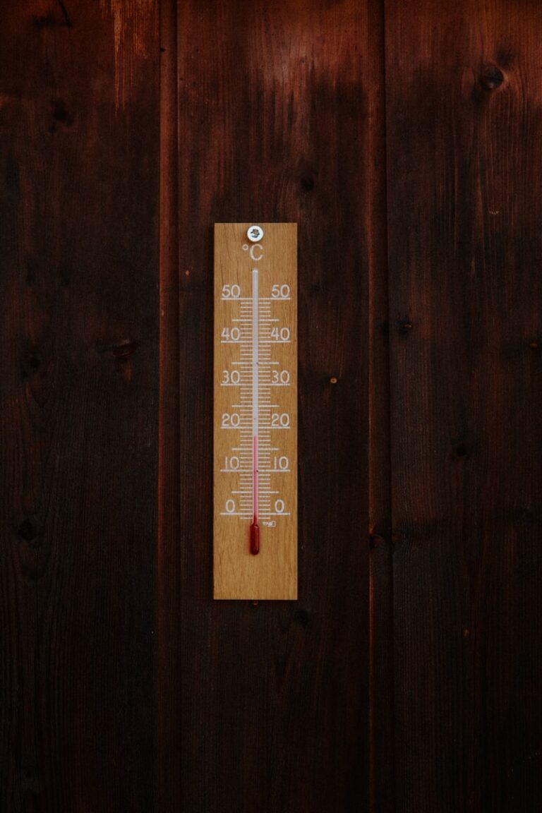 Thermal Regulation: Using Temperature to Master Your Calm