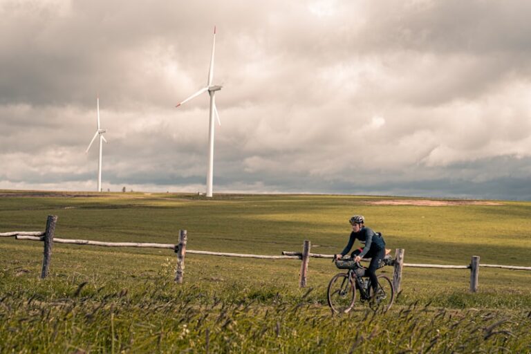 Trophic Dynamics: How Energy Cycles Drive Human Behavior