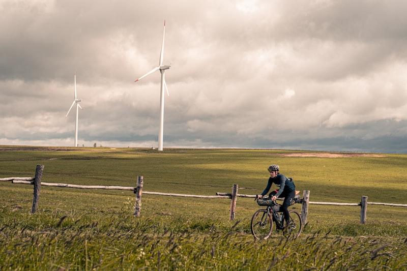 Trophic Dynamics: How Energy Cycles Drive Human Behavior