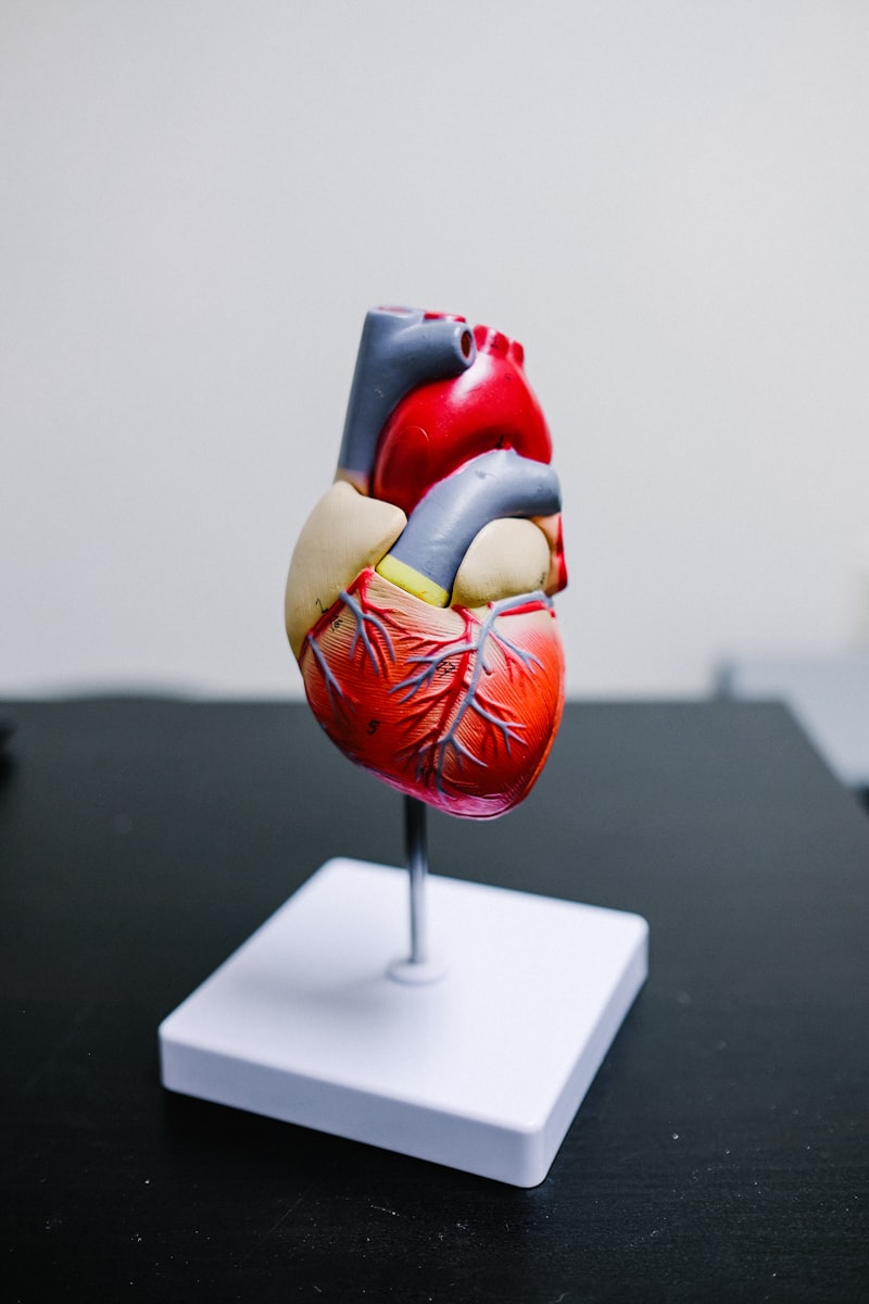 Type A Behavior: Why Your Personality Impacts Heart Health