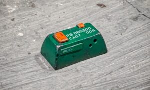 Unconditioned Response: Biology’s Automatic Survival Switch