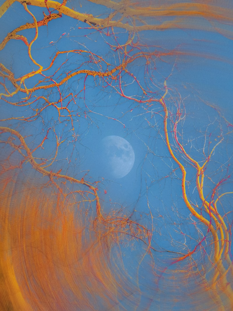 Vision Loss: The Silent Struggle of Diabetic Retinopathy