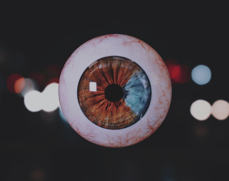 Visual Perception: How Evolution Shaped Our Sight