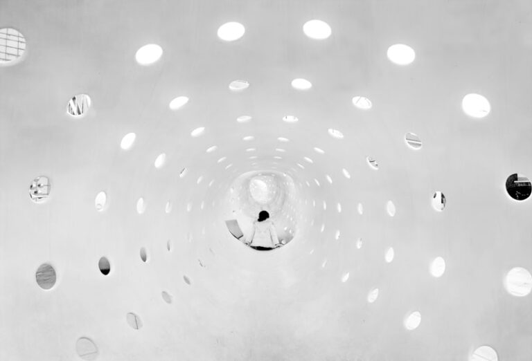 Visual Perception: How ON Cells Shape Your Reality