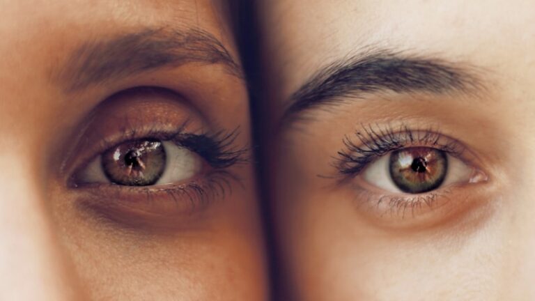 Visual Perception: How Your Eyes Distort Reality