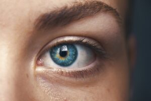 Visual Perception: How Your Eyes Shape Your Reality