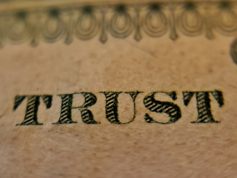 Ad Verecundiam: Why We Trust Authority Without Question