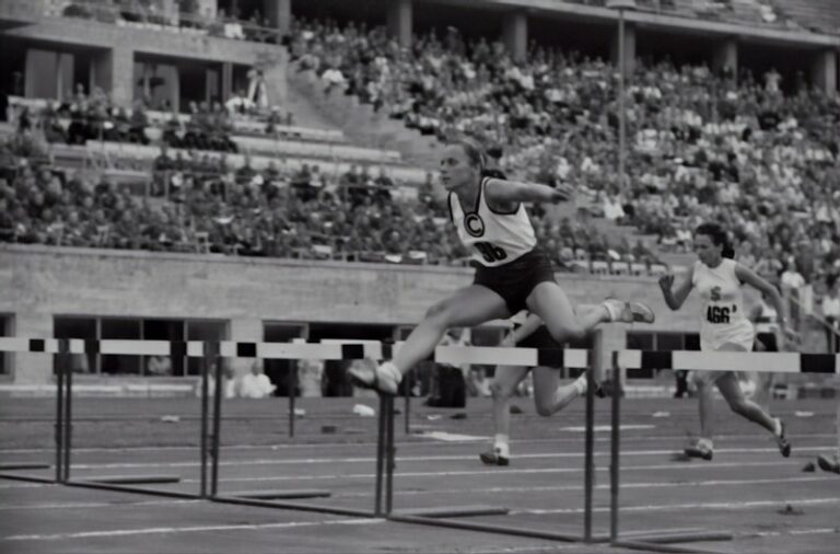 Adjustment Mechanisms: Mastering Life’s Daily Hurdles