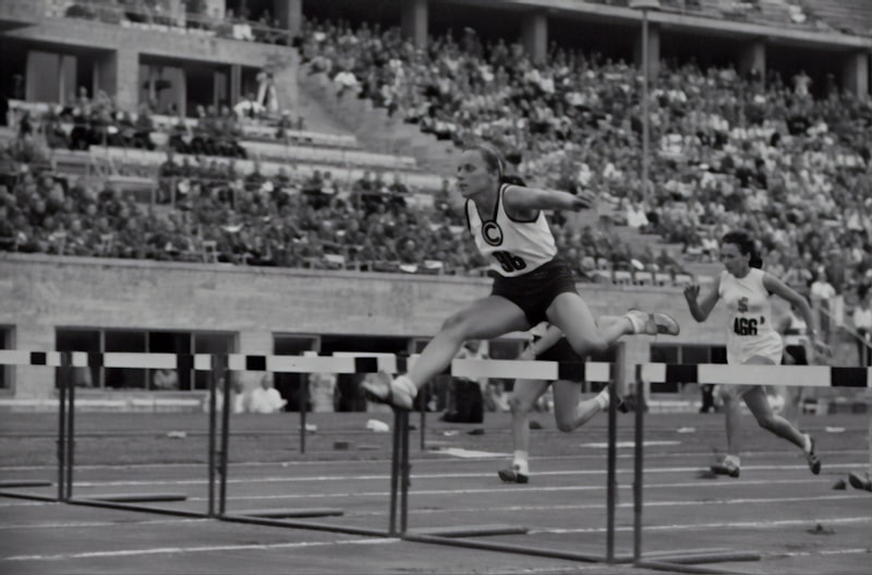 Adjustment Mechanisms: Mastering Life’s Daily Hurdles