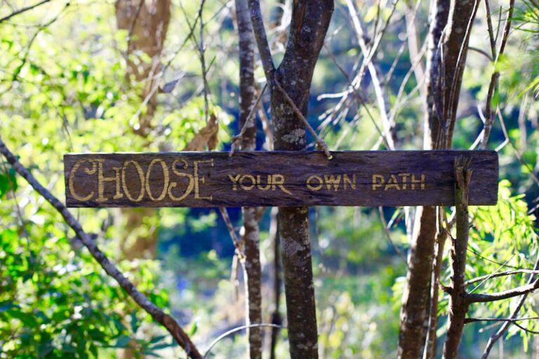 Affordance: How Your Environment Dictates Your Choices