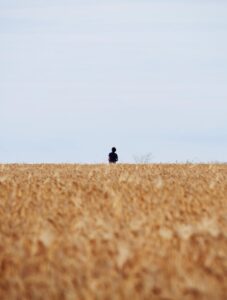 Agoraphobia: Reclaiming Your Freedom Beyond Open Spaces