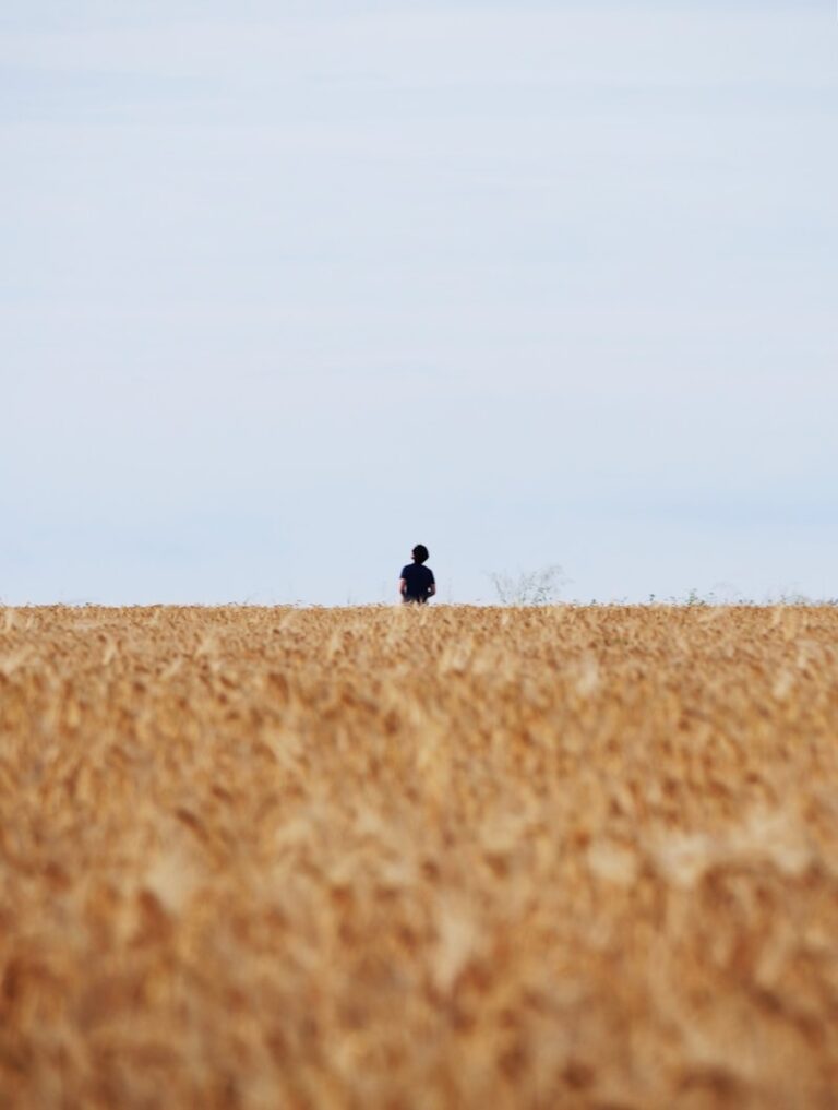 Agoraphobia: Reclaiming Your Freedom Beyond Open Spaces