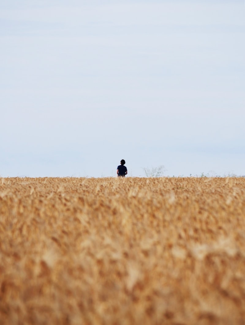 Agoraphobia: Reclaiming Your Freedom Beyond Open Spaces