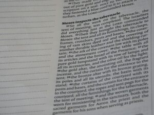 Alienatio Mentis: Exploring the History of the Lost Mind