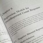 Ambiguous Figures: Master the Art of Perception