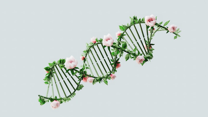 Androgenization: Shaping the Biology of Identity