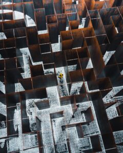 Animal Cognition: Decoding the Secrets of the Maze