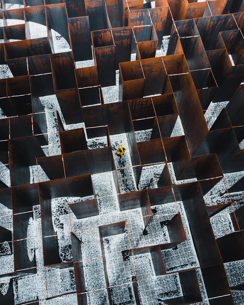 Animal Cognition: Decoding the Secrets of the Maze