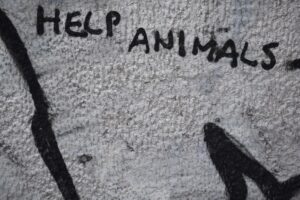 Animal Defense: The Hidden Psychology of Survival