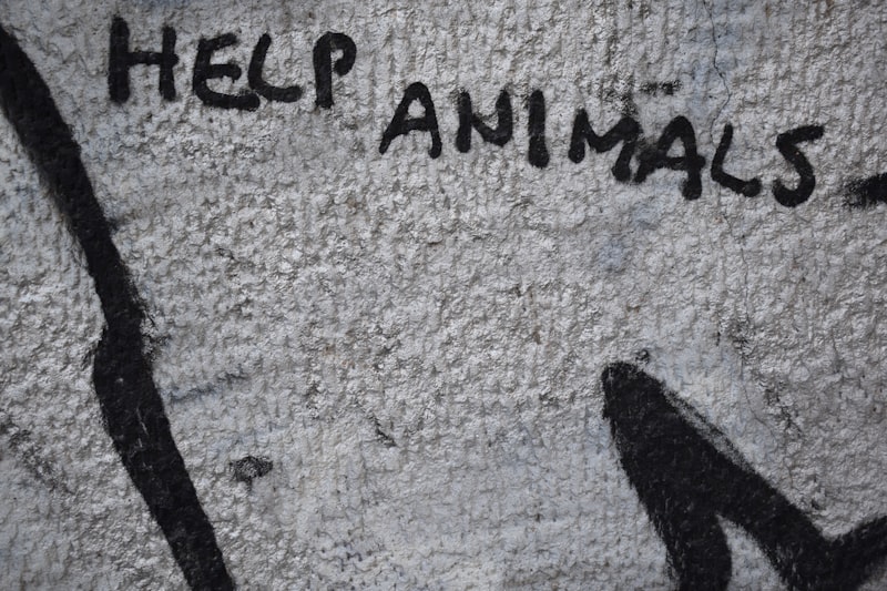 Animal Defense: The Hidden Psychology of Survival