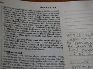 Animate Nouns: How We Perceive Life and Agency