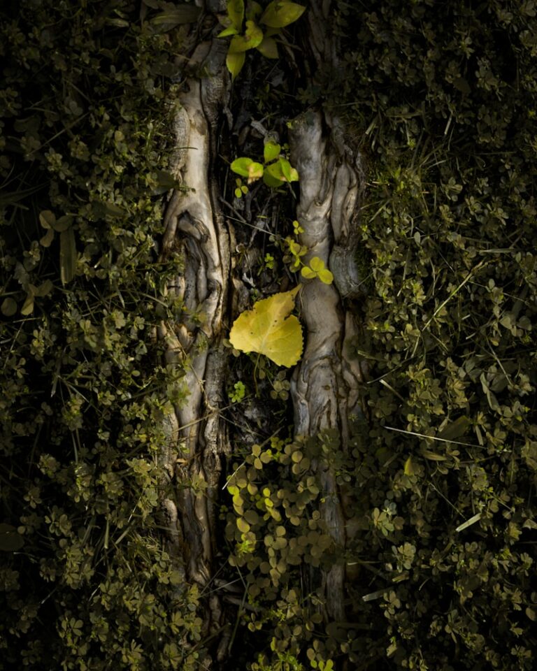 Anthropogenesis: Unlocking the Roots of Human Nature