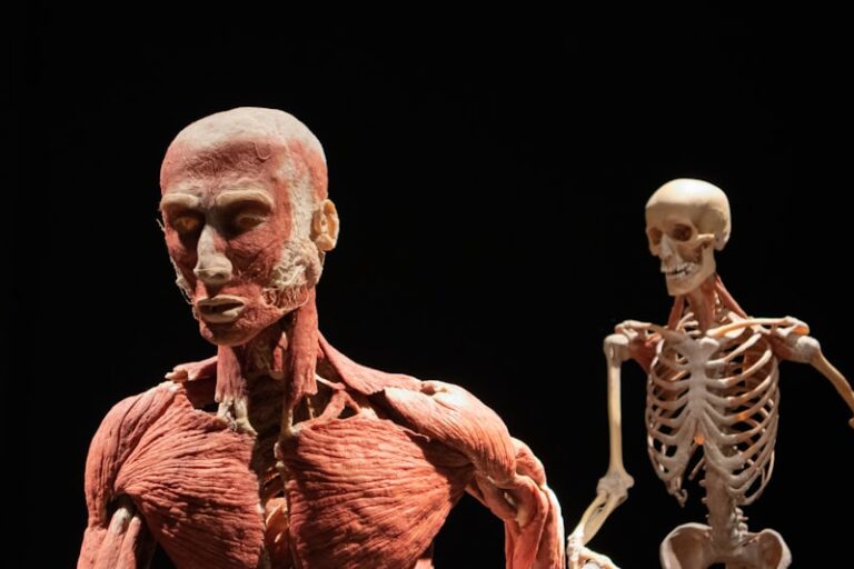 Anthropometry: The Science of Your Physical Identity