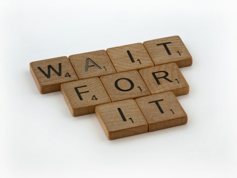 Anticipation: Mastering the Cognitive Wait
