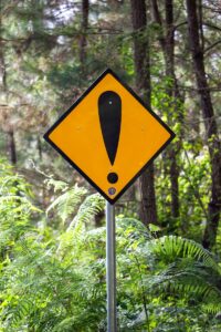 Aposematism: The Psychology of Bold Warning Signals