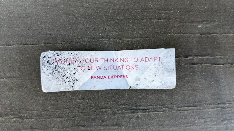 Appetitive Stimuli: How Rewards Drive Our Every Move
