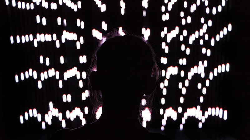 Auditory Hallucinations: Decoding Voices from Within