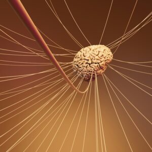 Axon Reflex: Unlocking Your Neural Pathways