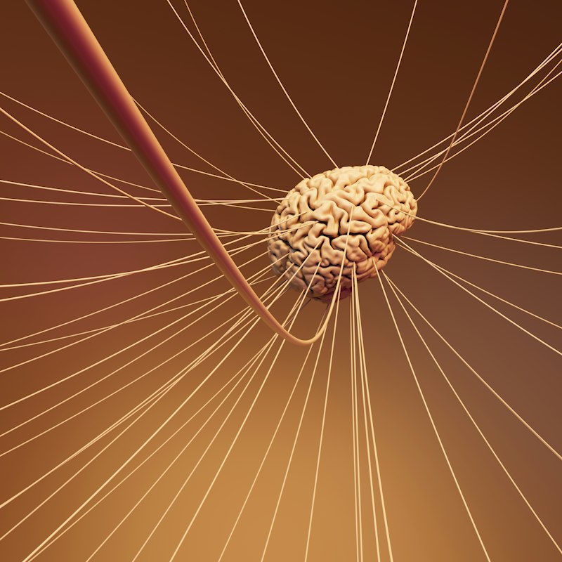 Axon Reflex: Unlocking Your Neural Pathways