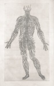 Axotomy: How Severed Nerves Alter Human Behavior
