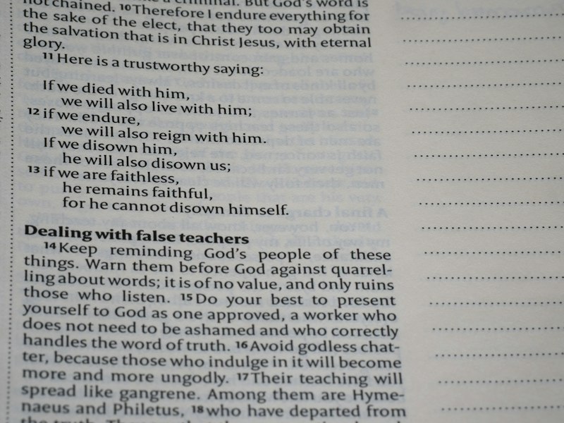 Bad Faith: Why We Deceive Ourselves and How to Stop