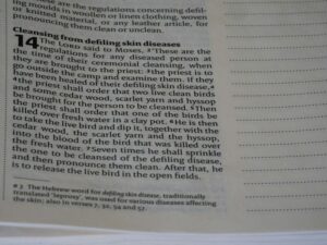 Behavior Checklists: Decoding the Hidden Patterns of Action