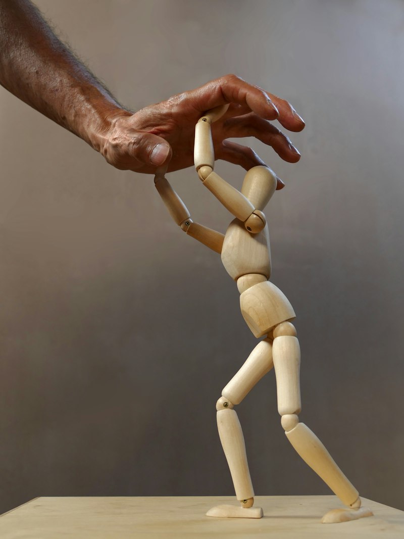 Behavior Observation: Decoding the Patterns of Human Action