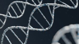 Behavioral Sequencing: Decoding the DNA of Human Action