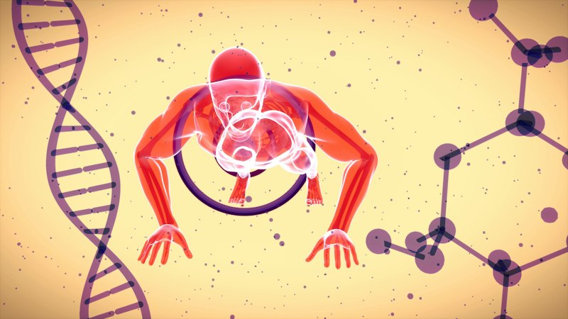 Biological Kinases: The Molecular Drivers of Human Behavior