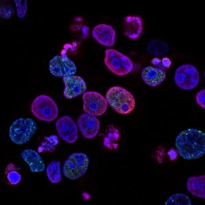 Biological Secretion: How Your Cells Master Your Mood