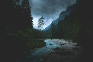 Bionomics: How Nature Shapes Your Every Decision