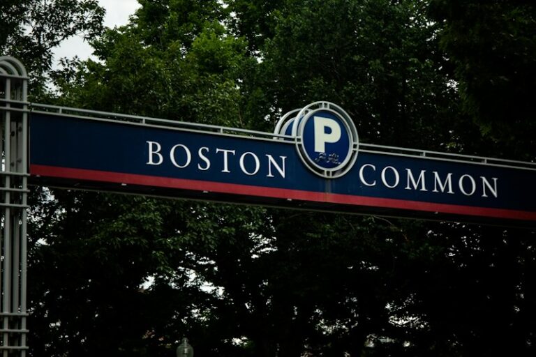 Boston Naming Test: Decode Your Brain's Hidden Pathways
