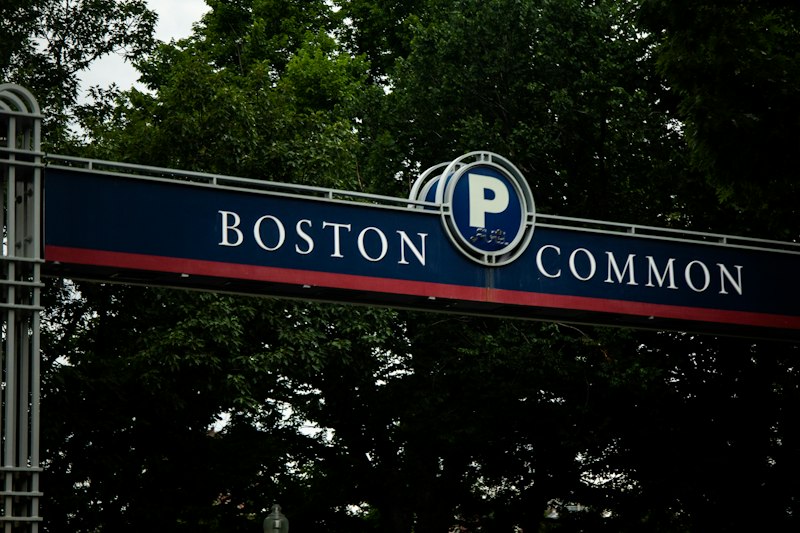 Boston Naming Test: Decode Your Brain's Hidden Pathways