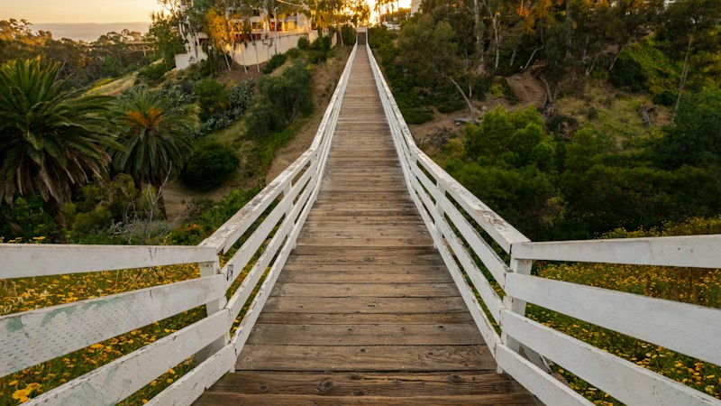 Buccal Absorption: The Hidden Bridge to Mental States