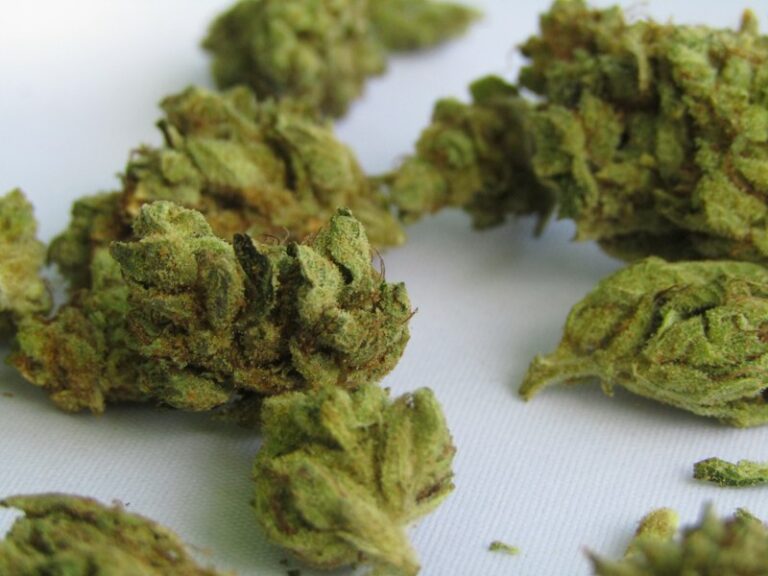 Cannabis Use Disorder: Breaking Free from Dependency