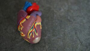 Cardiophobia: Conquering the Fear of Heart Failure