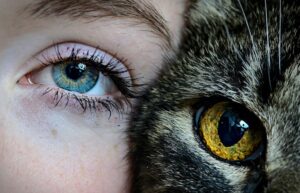 Cat-Eye Syndrome: Navigating Rare Genetic Neurodiversity